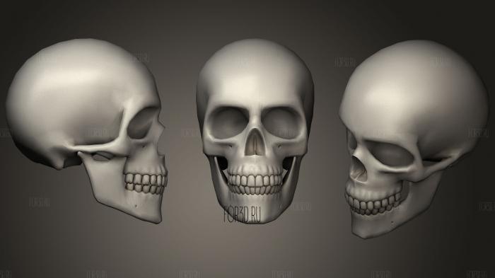 Skull 2 stl model for CNC